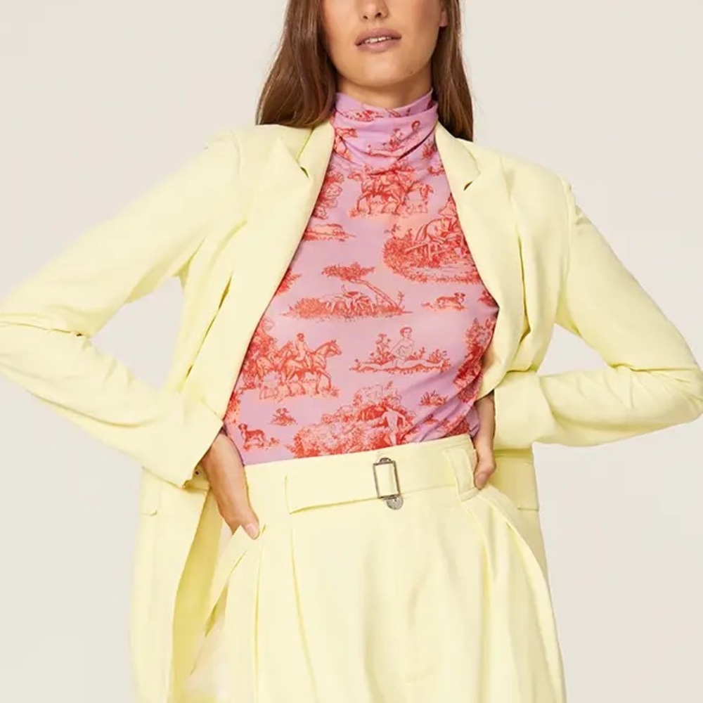 Rachel Antonoff Mesh Turtleneck